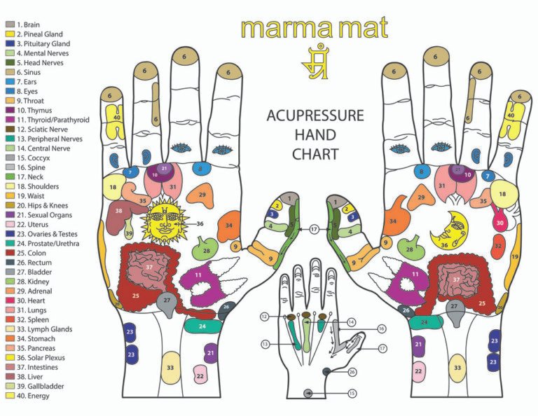 Mudras Meditation Hand Positions + 13 Popular Mudras The Yoga Nomads