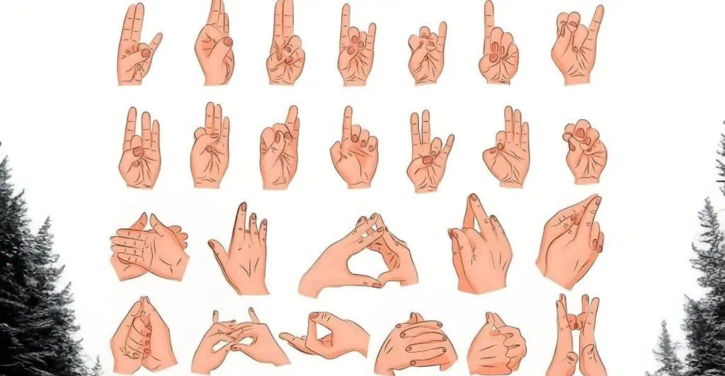 Meditation Hand Positions