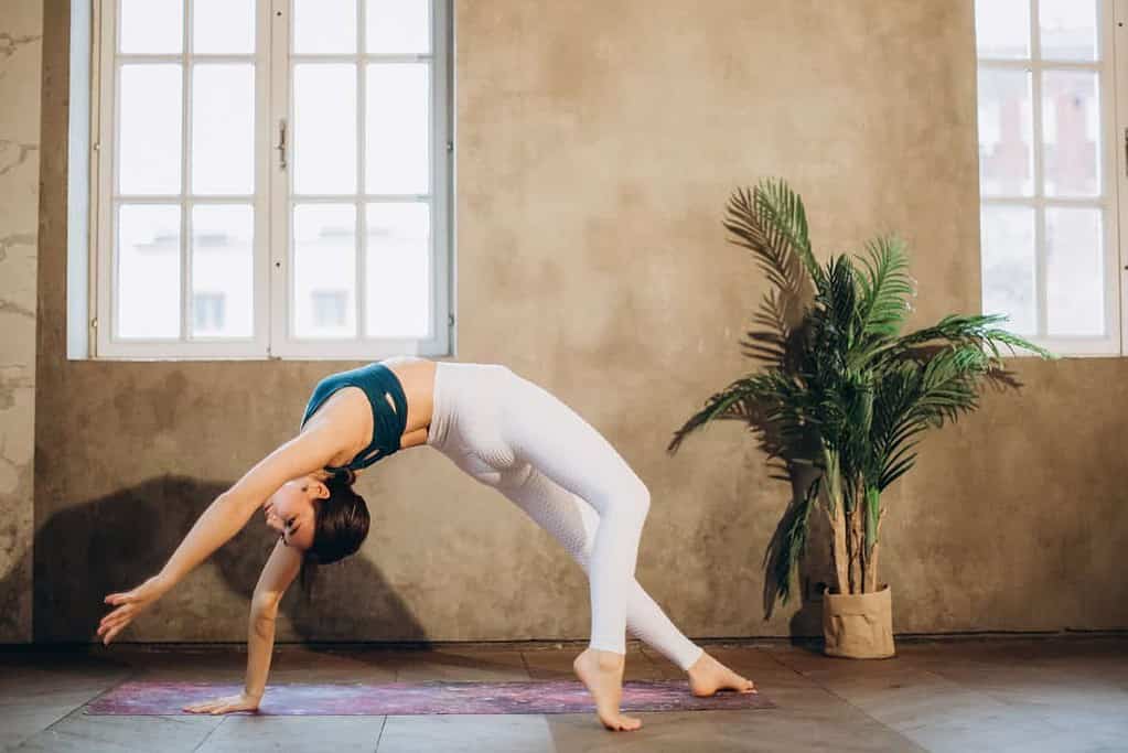 yoga backbend