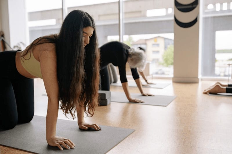 A yoga class performs Cat and Cow stretches. Cow (foreground) stretches the belly, and Cat (background) stretches the back.