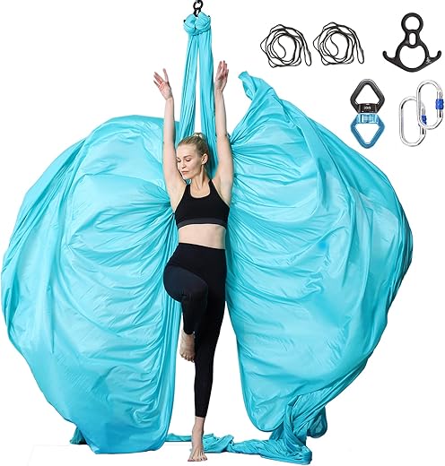 Aerial Silks Yoga Swing Set